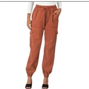 7 For All Mankind Women's Rust Jogger Pants